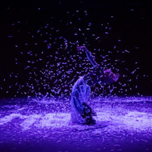 Les paillettes de leur vie ou la paix déménage - Spectacle A.V.E.C