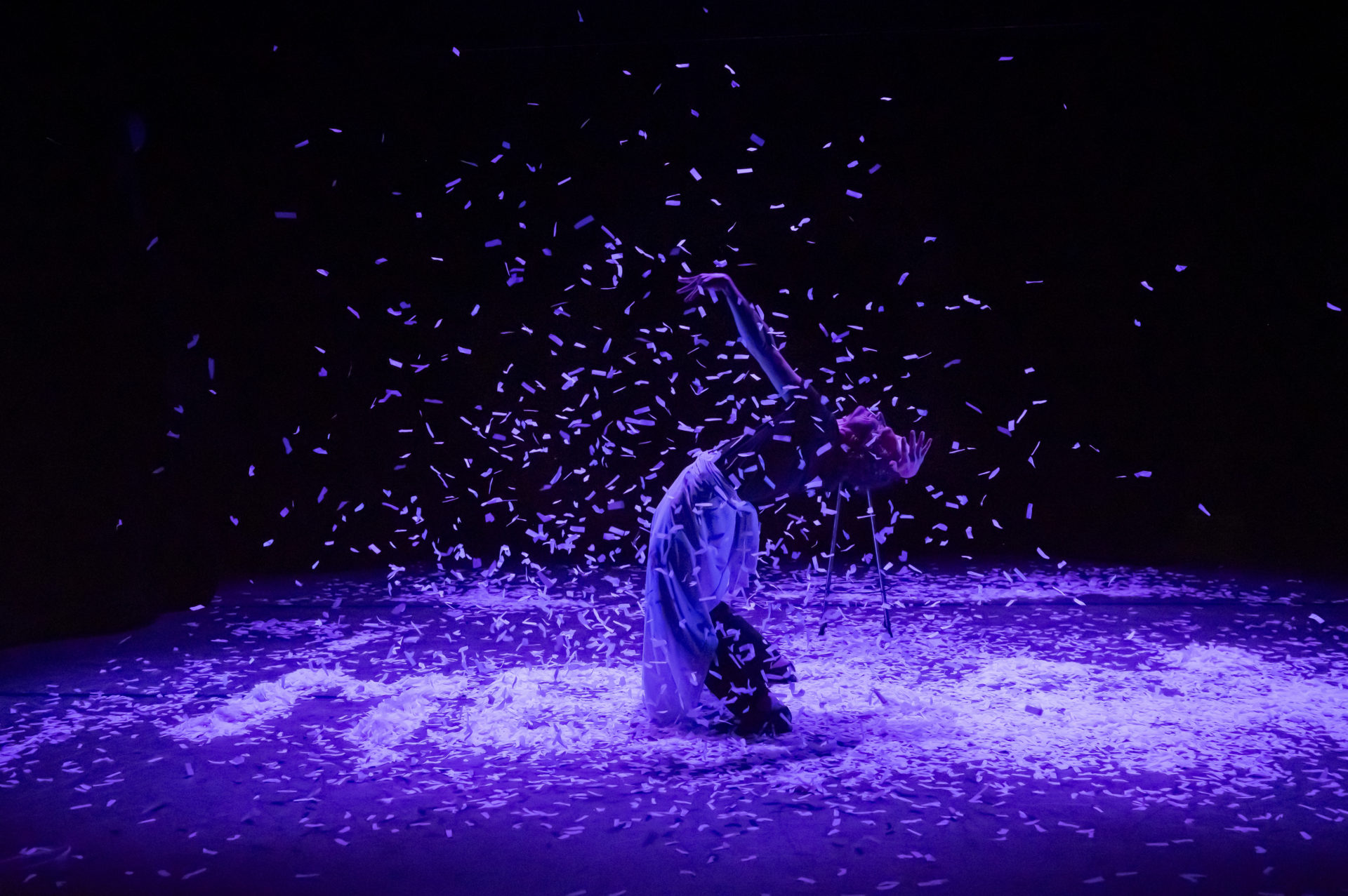 Les paillettes de leur vie ou la paix déménage - Spectacle A.V.E.C